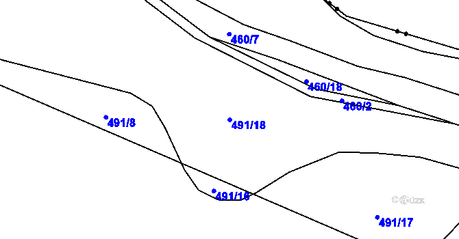 Parcela st. 491/18 v KÚ Ostrov u Tachova, Katastrální mapa