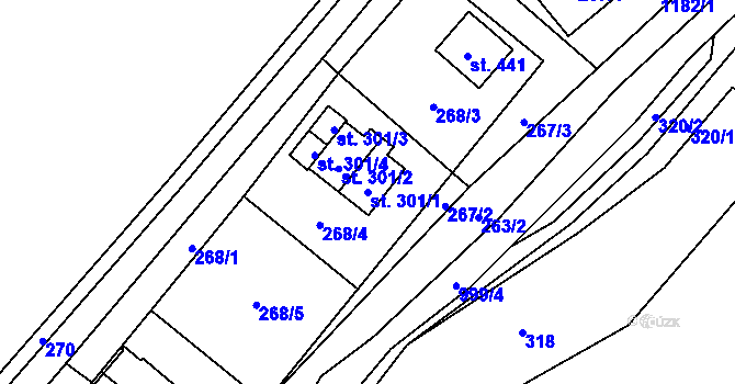 Parcela st. 301/1 v KÚ Ostružná, Katastrální mapa
