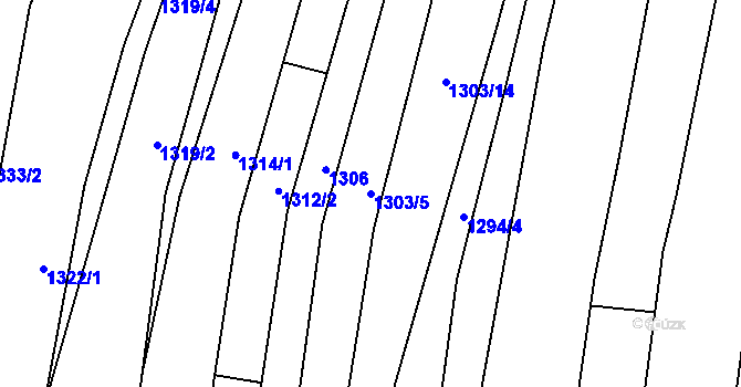 Parcela st. 1303/5 v KÚ Osvětimany, Katastrální mapa