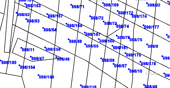 Parcela st. 598/55 v KÚ Osvětimany, Katastrální mapa