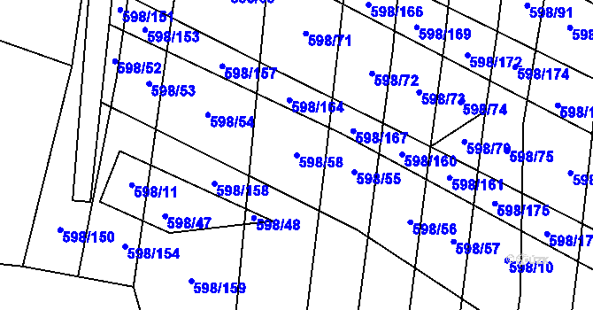 Parcela st. 598/58 v KÚ Osvětimany, Katastrální mapa