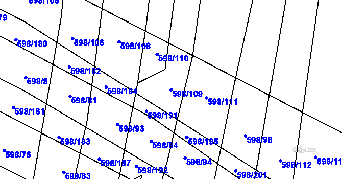Parcela st. 598/109 v KÚ Osvětimany, Katastrální mapa