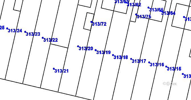 Parcela st. 313/19 v KÚ Otice, Katastrální mapa
