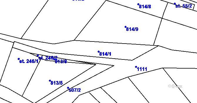 Parcela st. 814/1 v KÚ Nedomice, Katastrální mapa