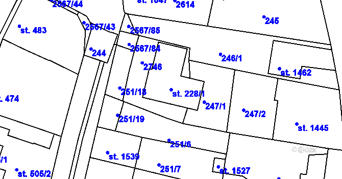 Parcela st. 228/1 v KÚ Pacov, Katastrální mapa