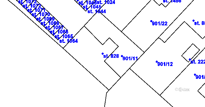 Parcela st. 828 v KÚ Pacov, Katastrální mapa