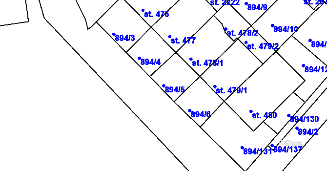 Parcela st. 894/5 v KÚ Pacov, Katastrální mapa