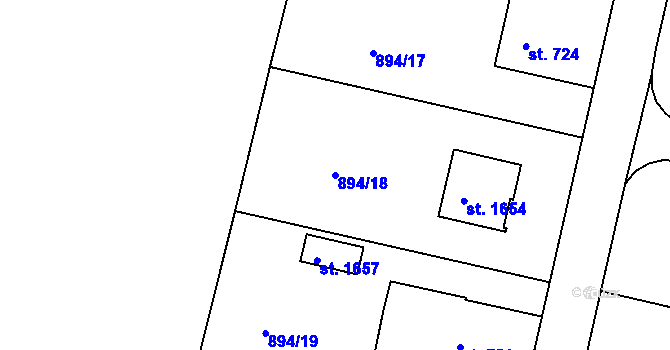 Parcela st. 894/18 v KÚ Pacov, Katastrální mapa