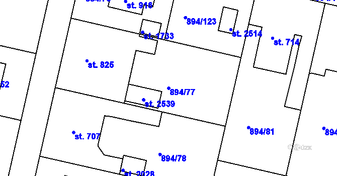 Parcela st. 894/77 v KÚ Pacov, Katastrální mapa