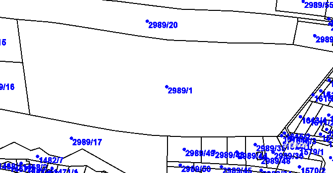 Parcela st. 2989/1 v KÚ Palkovice, Katastrální mapa