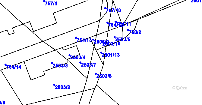 Parcela st. 2501/13 v KÚ Palkovice, Katastrální mapa