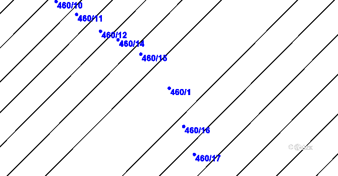 Parcela st. 460/1 v KÚ Palonín, Katastrální mapa