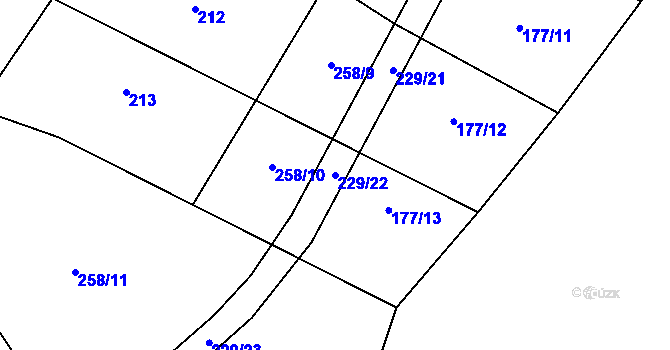 Parcela st. 229/22 v KÚ Panenská, Katastrální mapa