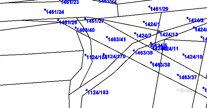 Parcela st. 1124/170 v KÚ Panenský Týnec, Katastrální mapa