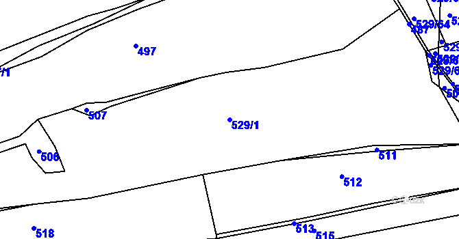 Parcela st. 529/1 v KÚ Panská Lhota, Katastrální mapa