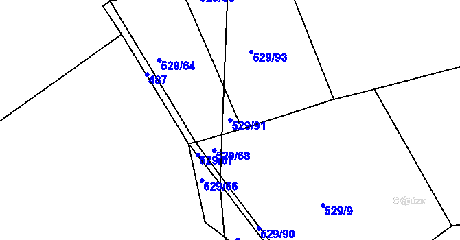 Parcela st. 529/91 v KÚ Panská Lhota, Katastrální mapa