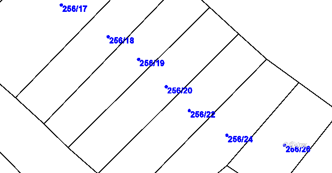 Parcela st. 256/20 v KÚ Panské Dubenky, Katastrální mapa