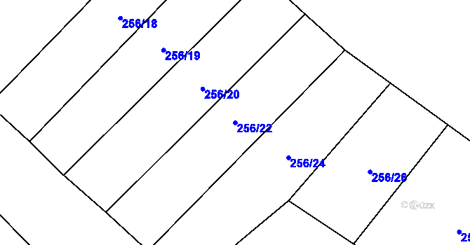 Parcela st. 256/22 v KÚ Panské Dubenky, Katastrální mapa