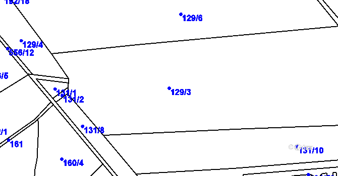 Parcela st. 129/3 v KÚ Trnová, Katastrální mapa