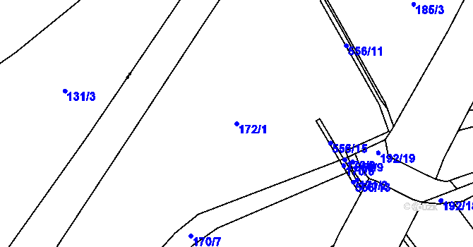 Parcela st. 172/1 v KÚ Trnová, Katastrální mapa