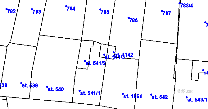 Parcela st. 541/3 v KÚ Svítkov, Katastrální mapa
