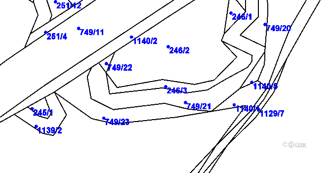 Parcela st. 246/3 v KÚ Svítkov, Katastrální mapa