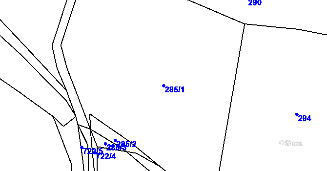 Parcela st. 285/1 v KÚ Svítkov, Katastrální mapa