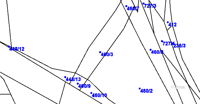Parcela st. 460/3 v KÚ Svítkov, Katastrální mapa