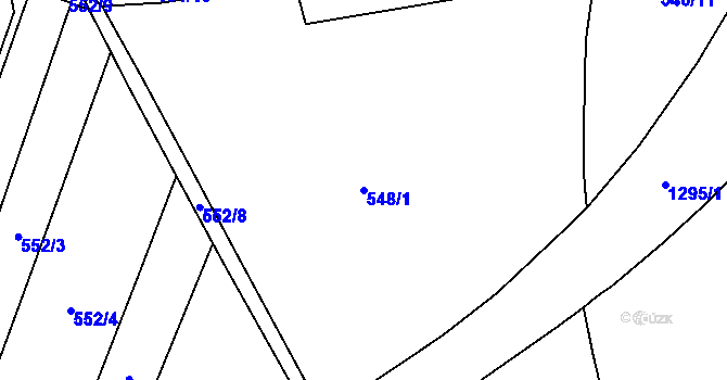 Parcela st. 548/1 v KÚ Svítkov, Katastrální mapa