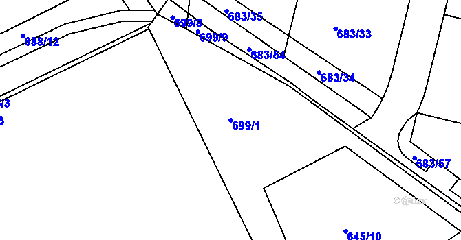 Parcela st. 699/1 v KÚ Svítkov, Katastrální mapa