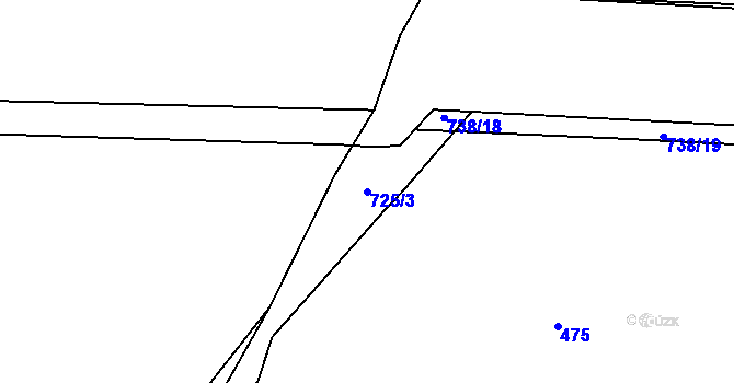 Parcela st. 725/3 v KÚ Svítkov, Katastrální mapa
