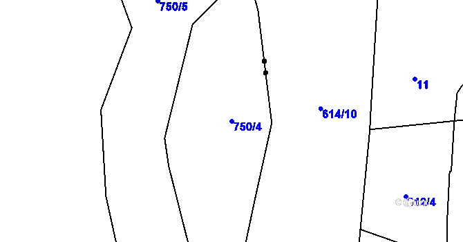 Parcela st. 750/4 v KÚ Svítkov, Katastrální mapa