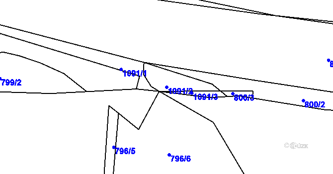 Parcela st. 1091/2 v KÚ Svítkov, Katastrální mapa