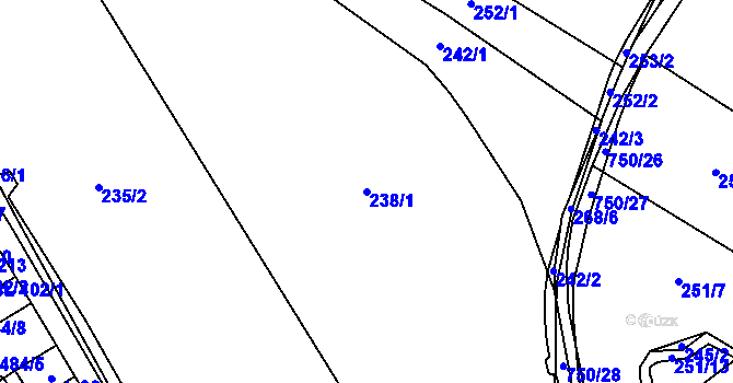 Parcela st. 238/1 v KÚ Svítkov, Katastrální mapa