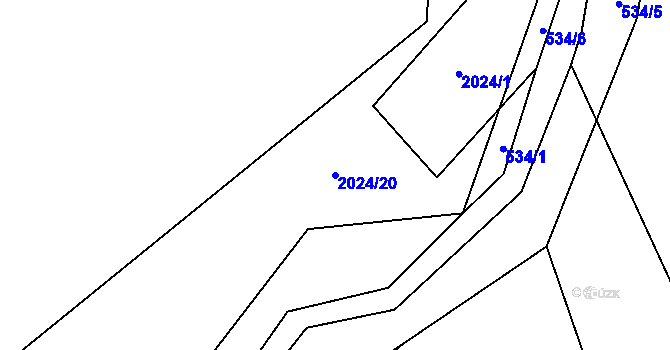 Parcela st. 2024/20 v KÚ Paskov, Katastrální mapa
