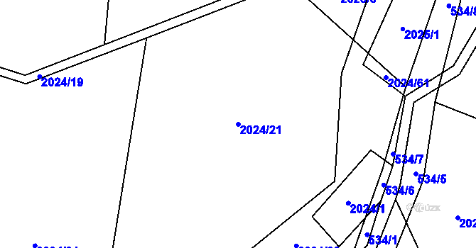 Parcela st. 2024/21 v KÚ Paskov, Katastrální mapa