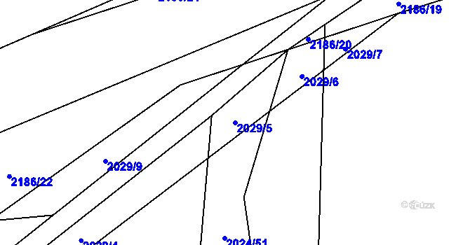 Parcela st. 2029/5 v KÚ Paskov, Katastrální mapa