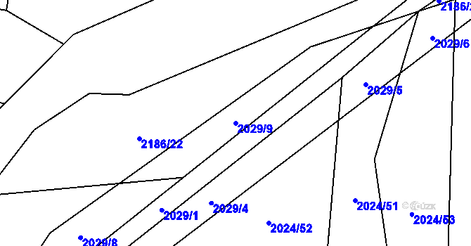Parcela st. 2029/9 v KÚ Paskov, Katastrální mapa