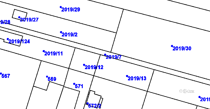 Parcela st. 2019/7 v KÚ Paskov, Katastrální mapa