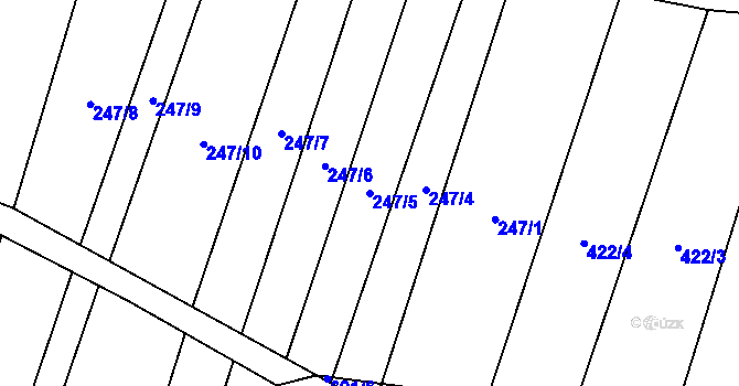 Parcela st. 247/5 v KÚ Radonice nad Ohří, Katastrální mapa