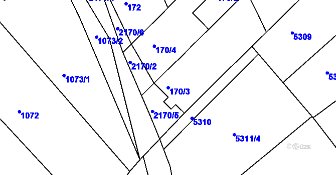 Parcela st. 170/3 v KÚ Pavlov u Dolních Věstonic, Katastrální mapa