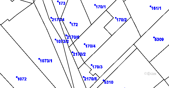 Parcela st. 170/4 v KÚ Pavlov u Dolních Věstonic, Katastrální mapa