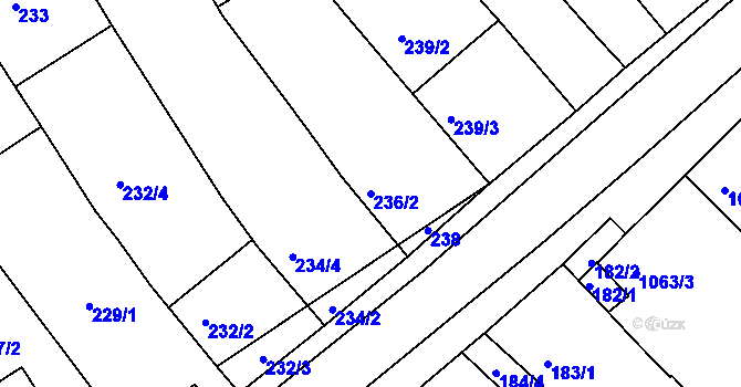 Parcela st. 236/2 v KÚ Pavlov u Dolních Věstonic, Katastrální mapa