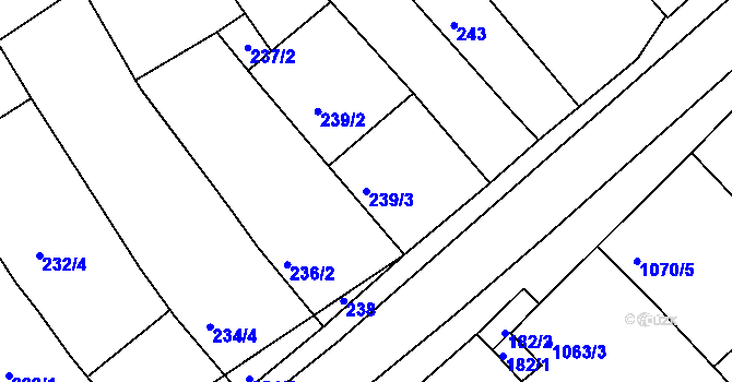 Parcela st. 239/3 v KÚ Pavlov u Dolních Věstonic, Katastrální mapa