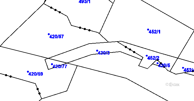 Parcela st. 420/3 v KÚ Pavlov, Katastrální mapa