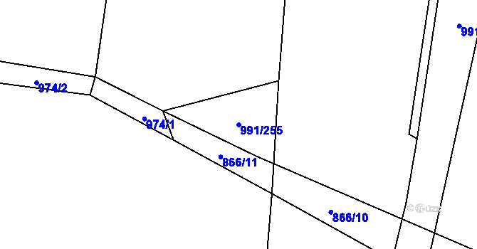 Parcela st. 991/255 v KÚ Pavlov, Katastrální mapa