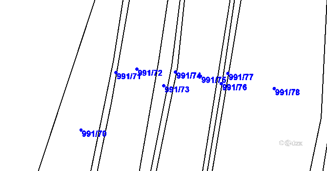Parcela st. 991/73 v KÚ Pavlov, Katastrální mapa