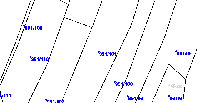 Parcela st. 991/101 v KÚ Pavlov, Katastrální mapa