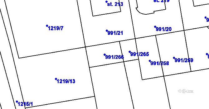 Parcela st. 991/266 v KÚ Pavlov, Katastrální mapa