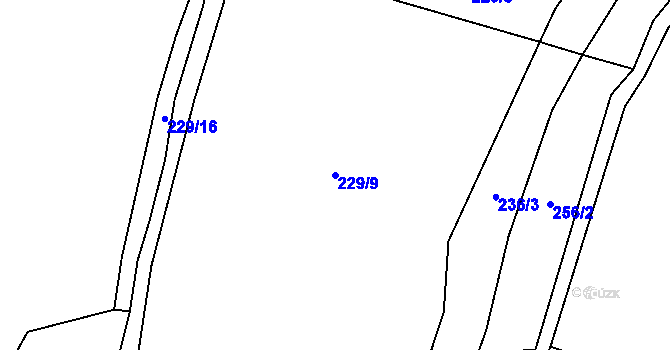 Parcela st. 229/9 v KÚ Staňkov u Pecky, Katastrální mapa